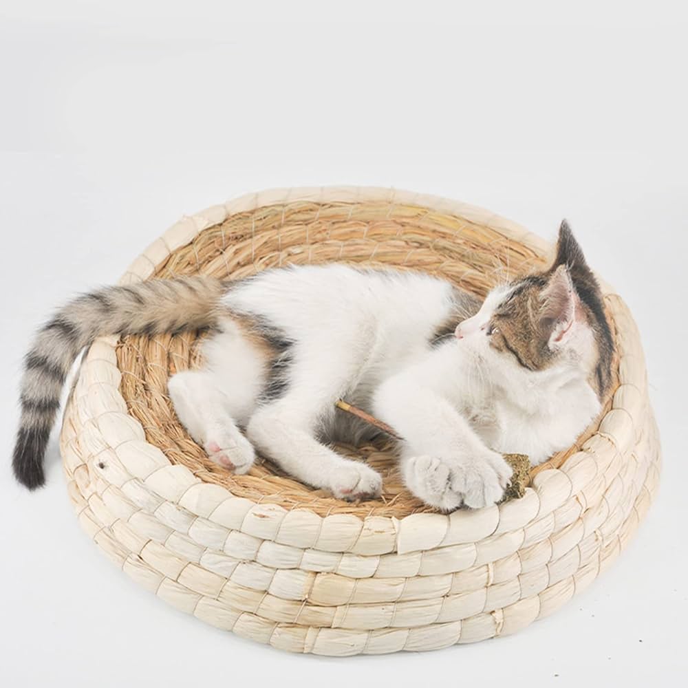 Where To Buy Straw Bedding For Cats Outlet head.hesge.ch